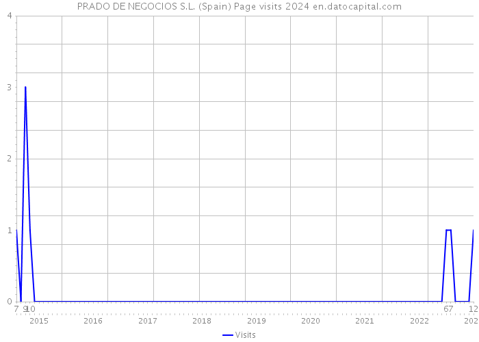 PRADO DE NEGOCIOS S.L. (Spain) Page visits 2024 