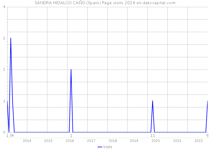 SANDRA HIDALGO CAÑO (Spain) Page visits 2024 