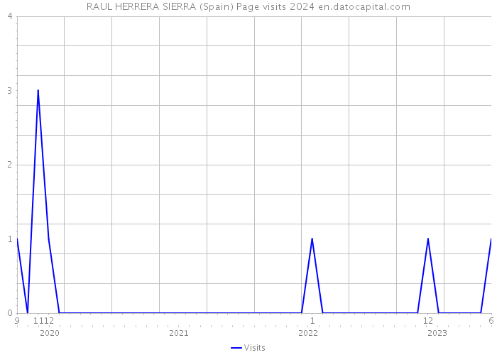 RAUL HERRERA SIERRA (Spain) Page visits 2024 