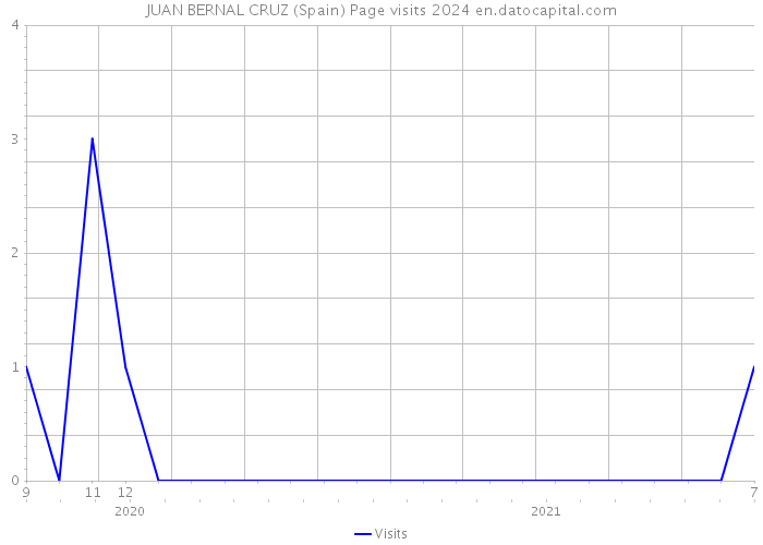 JUAN BERNAL CRUZ (Spain) Page visits 2024 