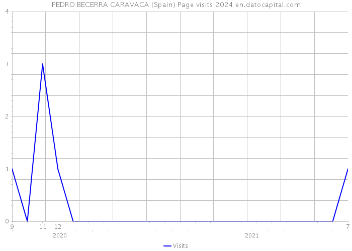 PEDRO BECERRA CARAVACA (Spain) Page visits 2024 
