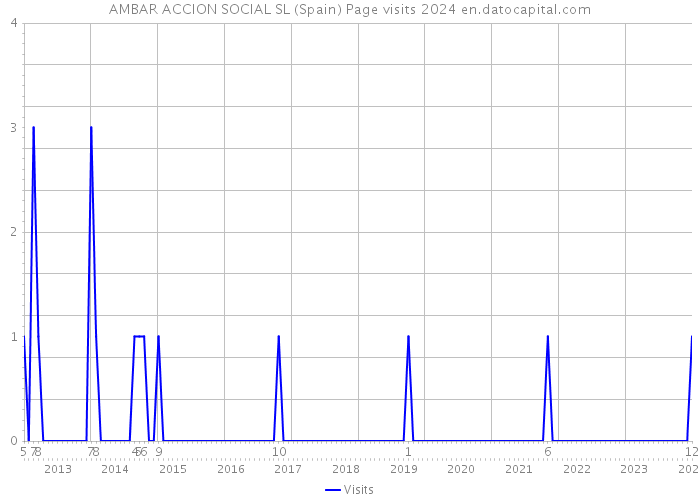 AMBAR ACCION SOCIAL SL (Spain) Page visits 2024 