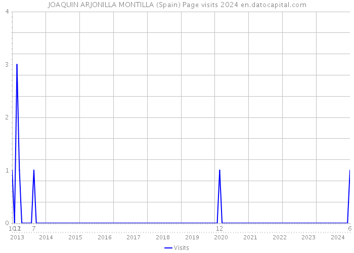 JOAQUIN ARJONILLA MONTILLA (Spain) Page visits 2024 