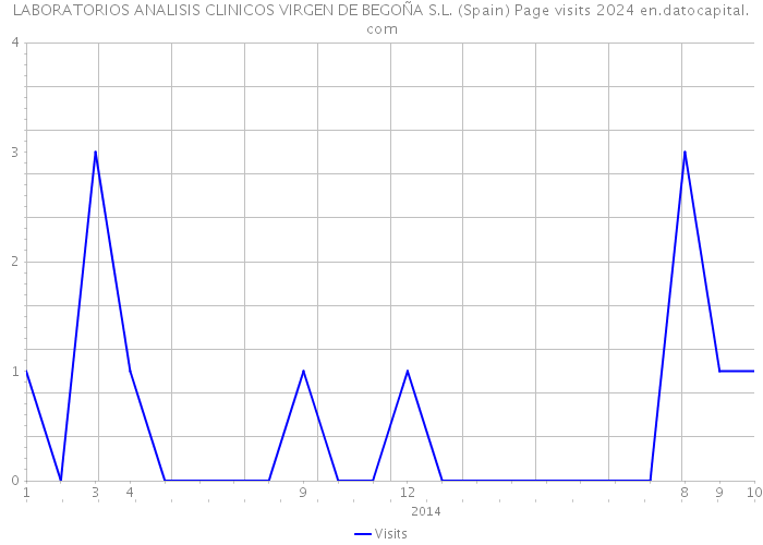 LABORATORIOS ANALISIS CLINICOS VIRGEN DE BEGOÑA S.L. (Spain) Page visits 2024 