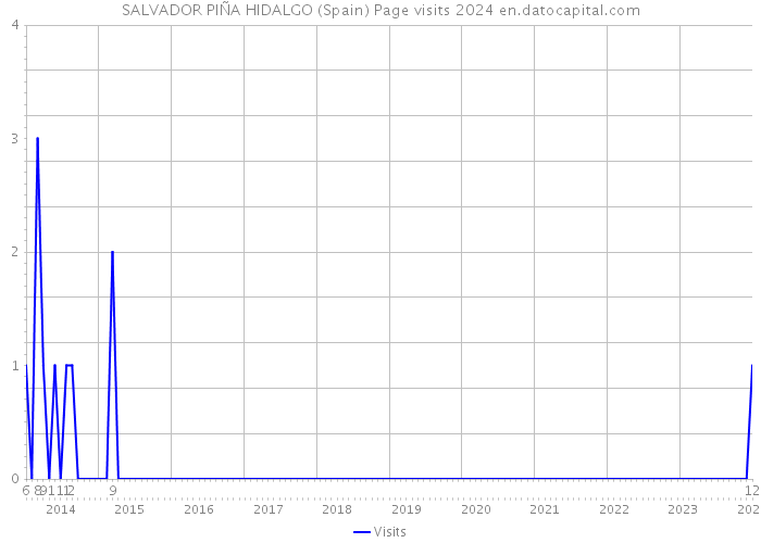 SALVADOR PIÑA HIDALGO (Spain) Page visits 2024 