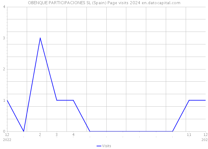 OBENQUE PARTICIPACIONES SL (Spain) Page visits 2024 