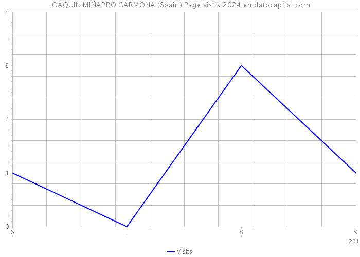 JOAQUIN MIÑARRO CARMONA (Spain) Page visits 2024 