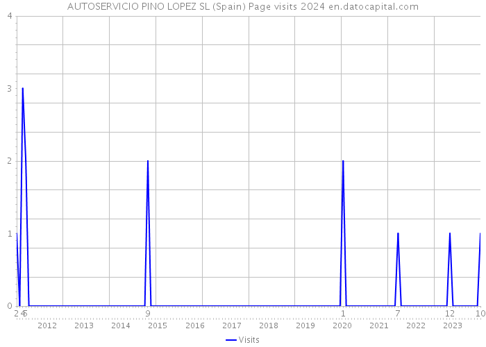 AUTOSERVICIO PINO LOPEZ SL (Spain) Page visits 2024 