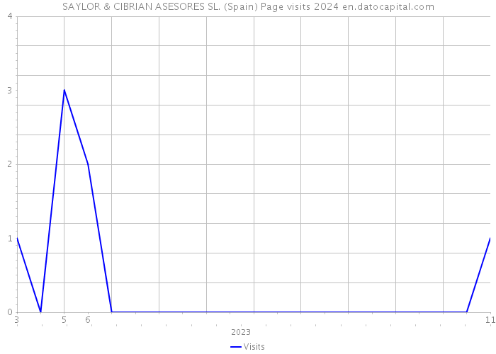 SAYLOR & CIBRIAN ASESORES SL. (Spain) Page visits 2024 