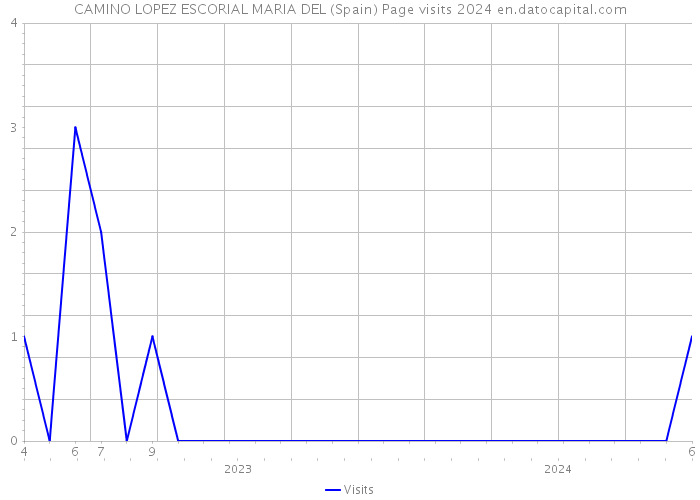 CAMINO LOPEZ ESCORIAL MARIA DEL (Spain) Page visits 2024 