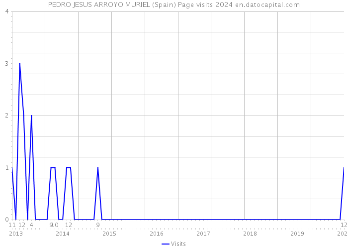 PEDRO JESUS ARROYO MURIEL (Spain) Page visits 2024 