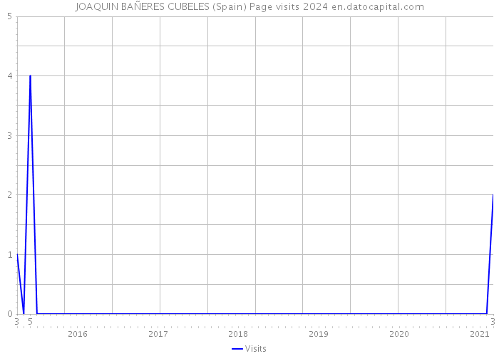 JOAQUIN BAÑERES CUBELES (Spain) Page visits 2024 