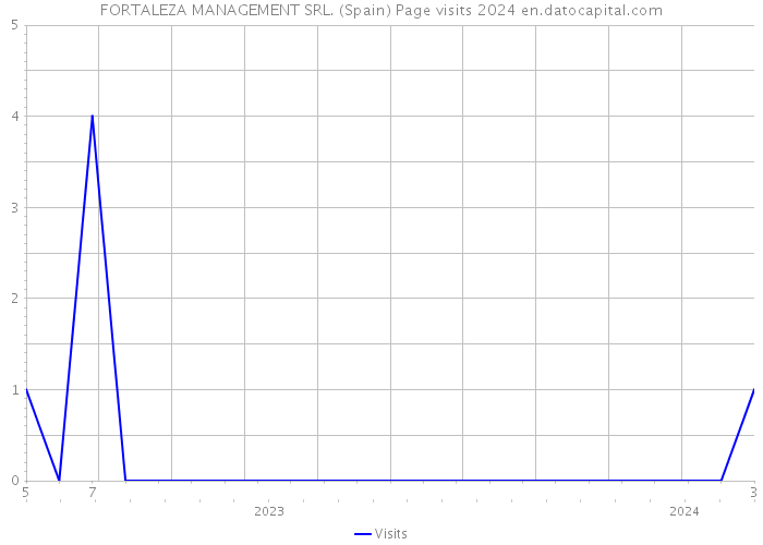 FORTALEZA MANAGEMENT SRL. (Spain) Page visits 2024 