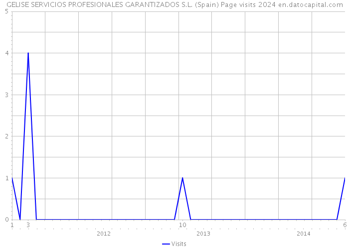 GELISE SERVICIOS PROFESIONALES GARANTIZADOS S.L. (Spain) Page visits 2024 