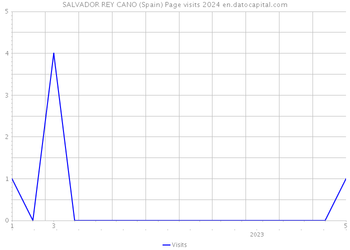 SALVADOR REY CANO (Spain) Page visits 2024 