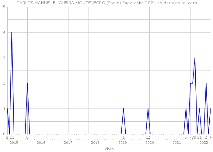 CARLOS MANUEL FILGUEIRA MONTENEGRO (Spain) Page visits 2024 