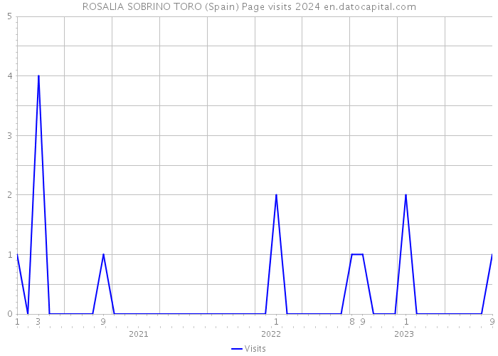 ROSALIA SOBRINO TORO (Spain) Page visits 2024 