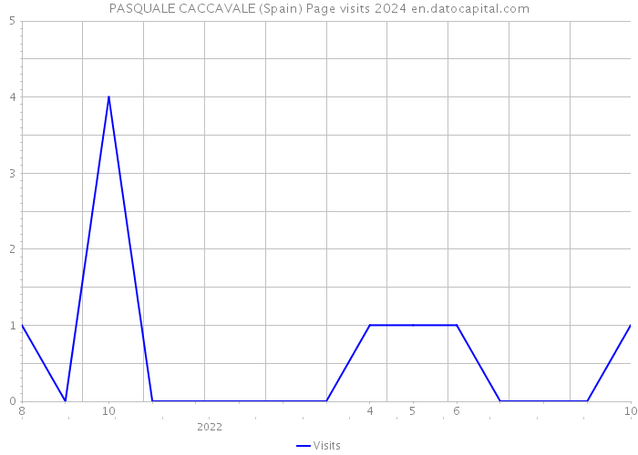 PASQUALE CACCAVALE (Spain) Page visits 2024 