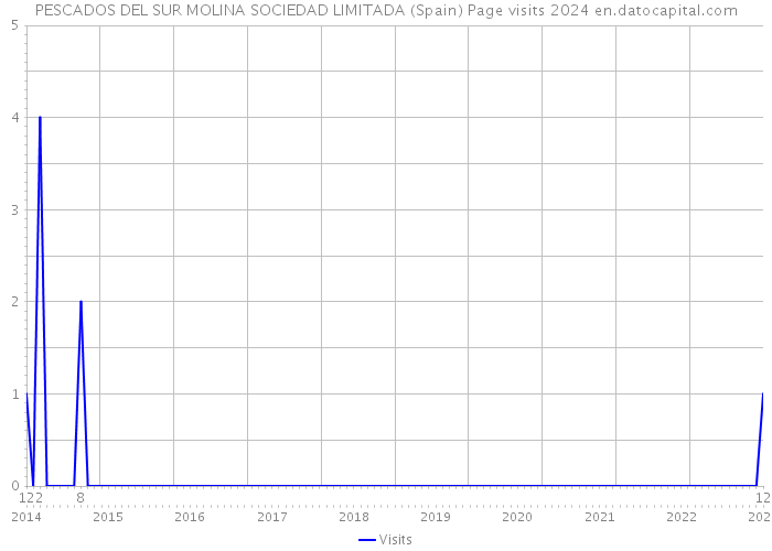 PESCADOS DEL SUR MOLINA SOCIEDAD LIMITADA (Spain) Page visits 2024 