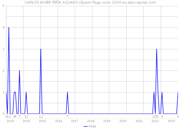 CARLOS JAVIER PEÑA AGUADO (Spain) Page visits 2024 