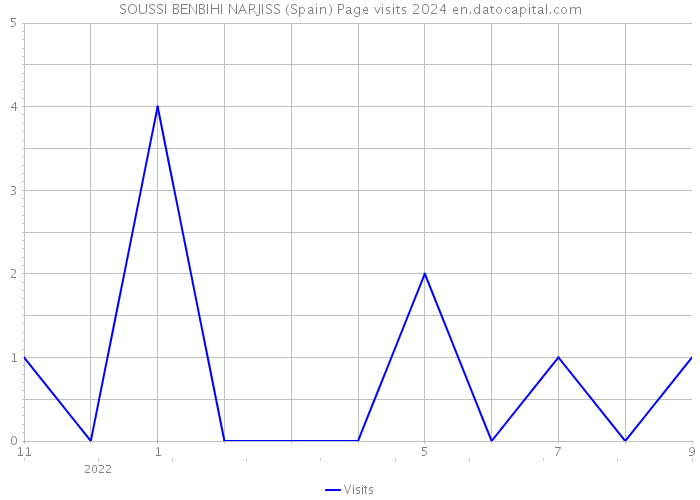 SOUSSI BENBIHI NARJISS (Spain) Page visits 2024 