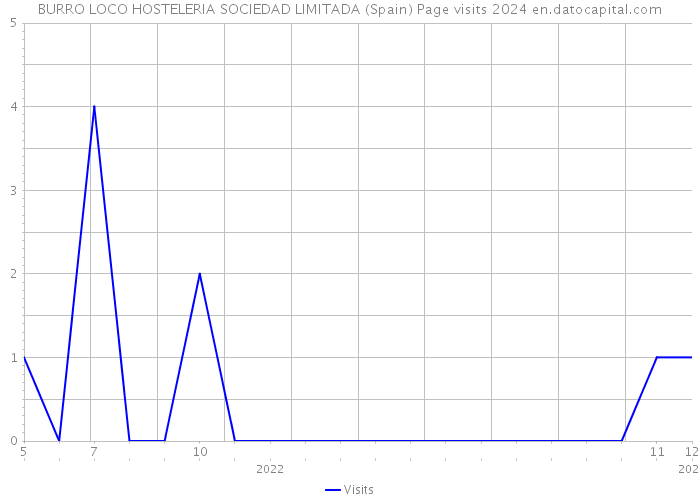 BURRO LOCO HOSTELERIA SOCIEDAD LIMITADA (Spain) Page visits 2024 