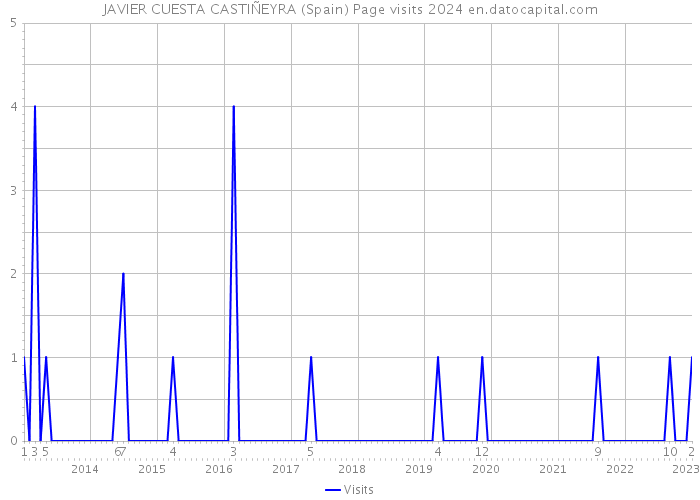 JAVIER CUESTA CASTIÑEYRA (Spain) Page visits 2024 