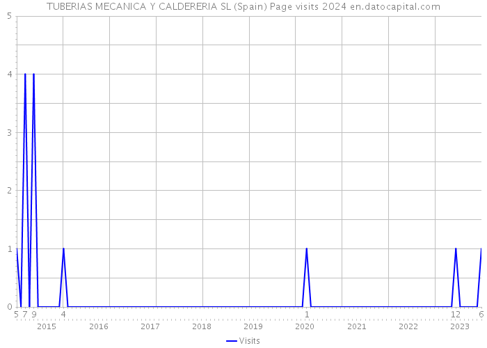 TUBERIAS MECANICA Y CALDERERIA SL (Spain) Page visits 2024 