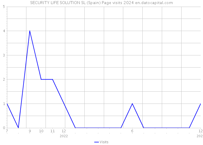 SECURITY LIFE SOLUTION SL (Spain) Page visits 2024 