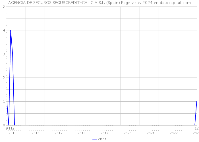 AGENCIA DE SEGUROS SEGURCREDIT-GALICIA S.L. (Spain) Page visits 2024 