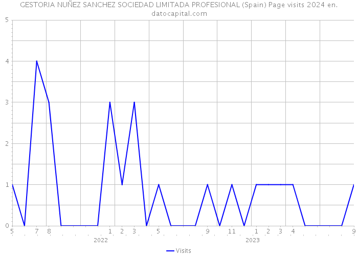 GESTORIA NUÑEZ SANCHEZ SOCIEDAD LIMITADA PROFESIONAL (Spain) Page visits 2024 