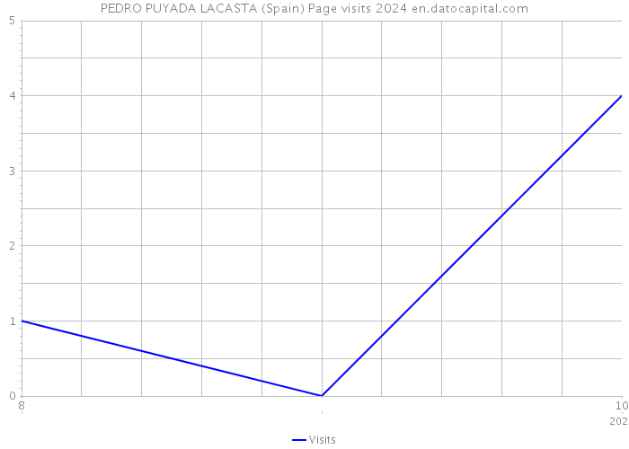 PEDRO PUYADA LACASTA (Spain) Page visits 2024 