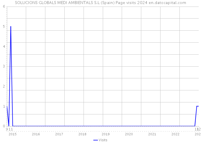 SOLUCIONS GLOBALS MEDI AMBIENTALS S.L (Spain) Page visits 2024 