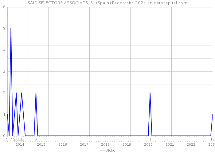 SAID SELECTORS ASSOCIATS, SL (Spain) Page visits 2024 