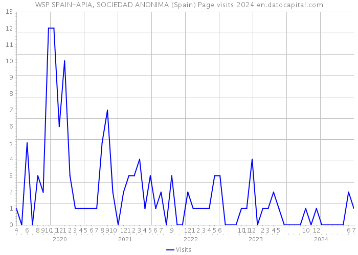 WSP SPAIN-APIA, SOCIEDAD ANONIMA (Spain) Page visits 2024 