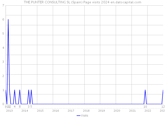 THE PUNTER CONSULTING SL (Spain) Page visits 2024 