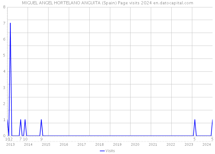 MIGUEL ANGEL HORTELANO ANGUITA (Spain) Page visits 2024 