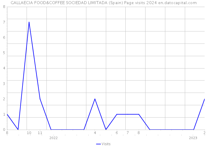 GALLAECIA FOOD&COFFEE SOCIEDAD LIMITADA (Spain) Page visits 2024 