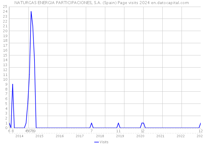 NATURGAS ENERGIA PARTICIPACIONES, S.A. (Spain) Page visits 2024 