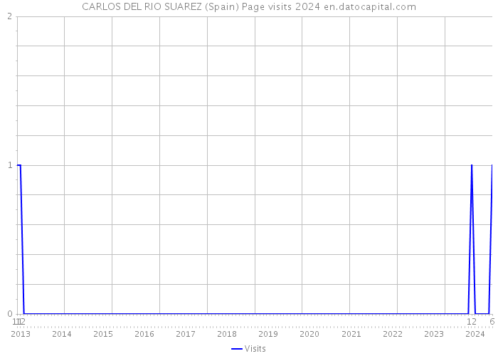 CARLOS DEL RIO SUAREZ (Spain) Page visits 2024 