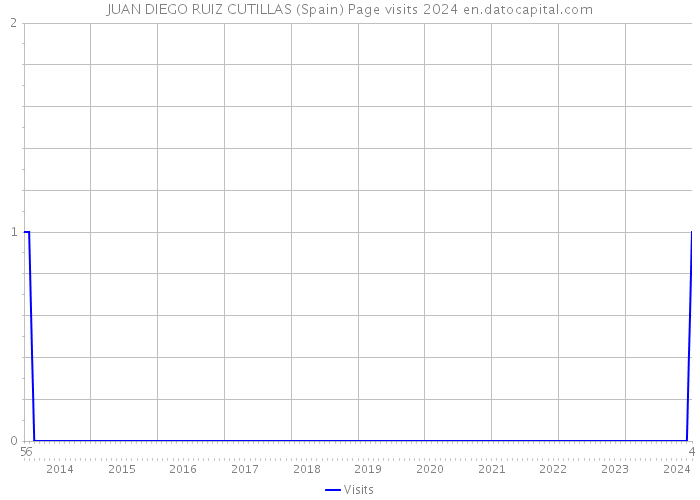 JUAN DIEGO RUIZ CUTILLAS (Spain) Page visits 2024 