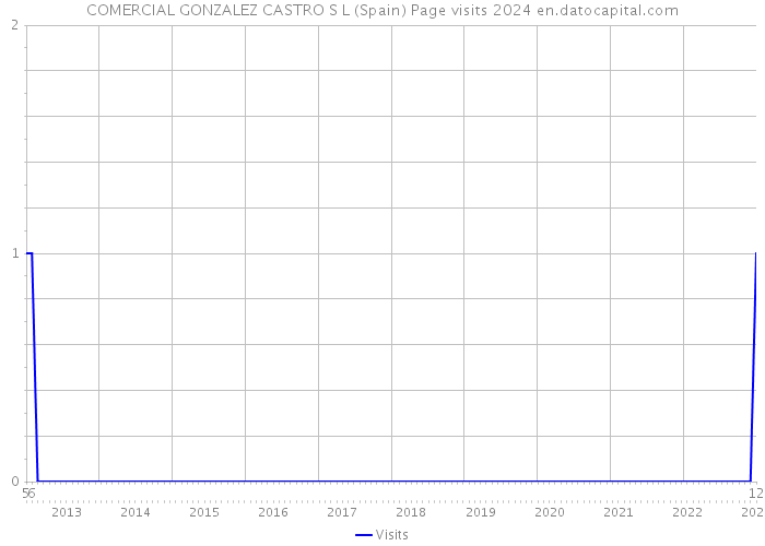 COMERCIAL GONZALEZ CASTRO S L (Spain) Page visits 2024 