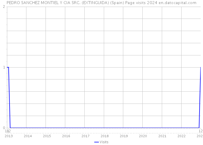 PEDRO SANCHEZ MONTIEL Y CIA SRC. (EXTINGUIDA) (Spain) Page visits 2024 