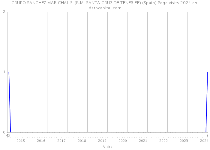 GRUPO SANCHEZ MARICHAL SL(R.M. SANTA CRUZ DE TENERIFE) (Spain) Page visits 2024 