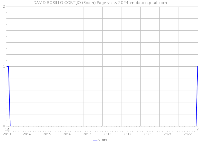 DAVID ROSILLO CORTIJO (Spain) Page visits 2024 