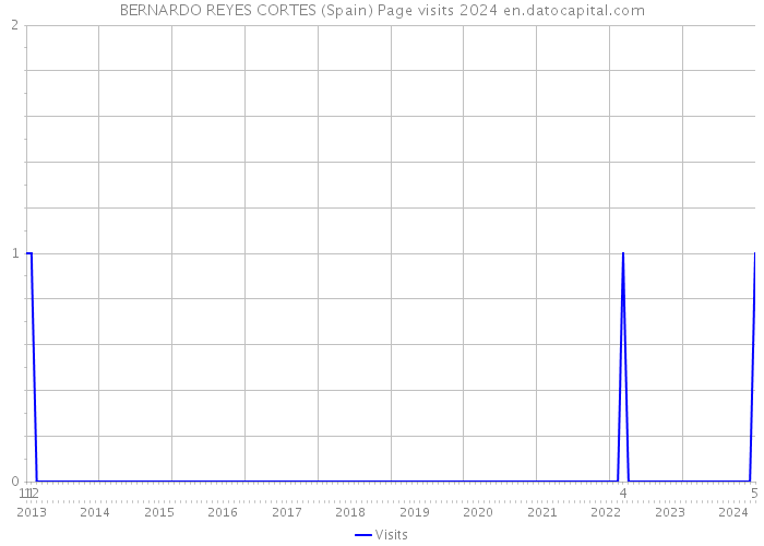 BERNARDO REYES CORTES (Spain) Page visits 2024 