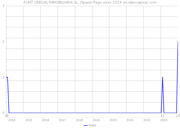 PUNT GREGAL INMOBILIARIA SL. (Spain) Page visits 2024 