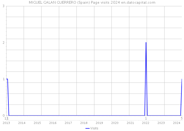 MIGUEL GALAN GUERRERO (Spain) Page visits 2024 