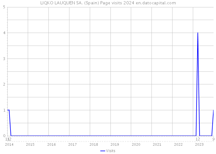 LIQKO LAUQUEN SA. (Spain) Page visits 2024 