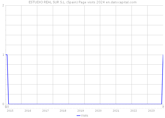 ESTUDIO REAL SUR S.L. (Spain) Page visits 2024 